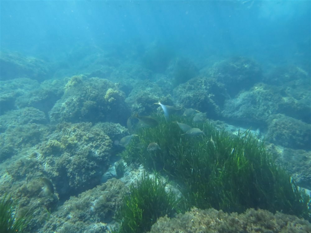 Cala del Cuervo en Las Negras, Cabo de Gata, zona ideal para snorkel