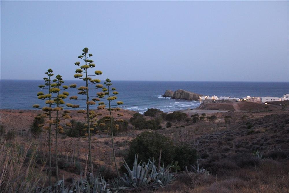 Paisaje volcánico y desierto del Parque Natural Cabo de Gata durante ruta en 4x4