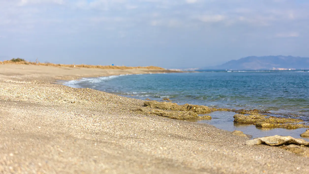 Playa de la Rumina y el Palmeral, Mojácar
