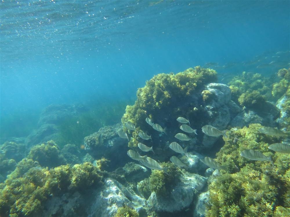 Las Negras Almería, uno de los mejores puntos de snorkel de Cabo de Gata
