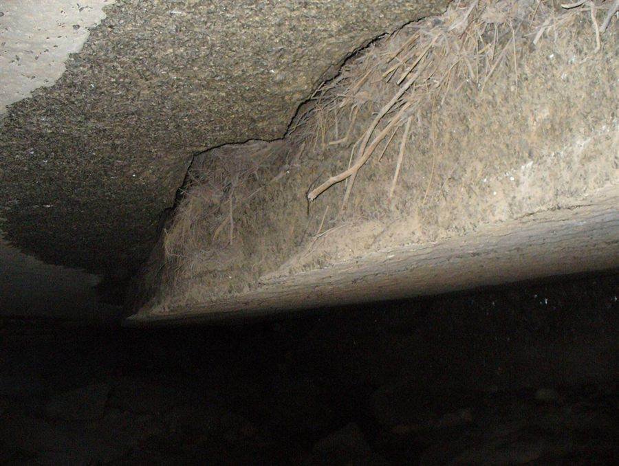 Espeleología en las Cuevas de Sorbas, grupo con casco y frontal en galería de yeso