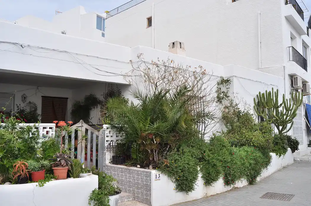 Calle de casas blancas con plantas y cactus en el pueblo de Agua Amarga