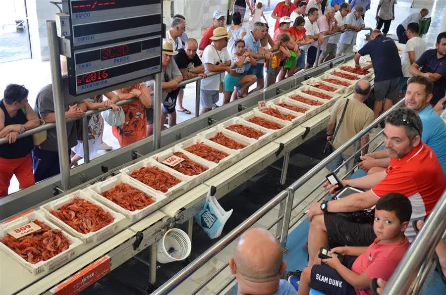 Puerto pesquero de Garrucha subasta Lonja barcos Levante Almeriense