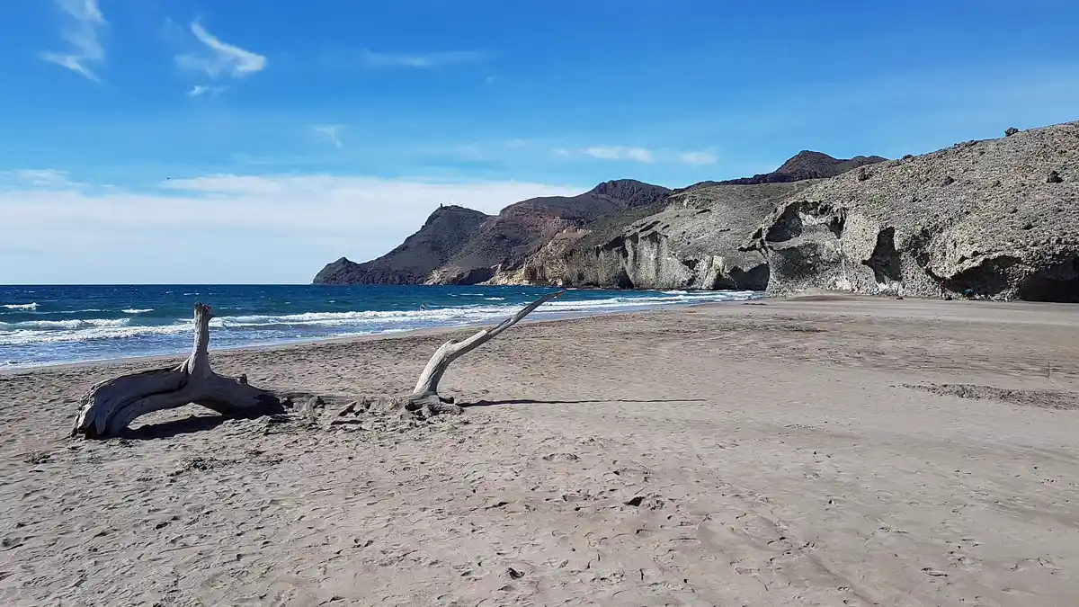 Tronco seco en la arena de Mónsul con los acantilados al fondo