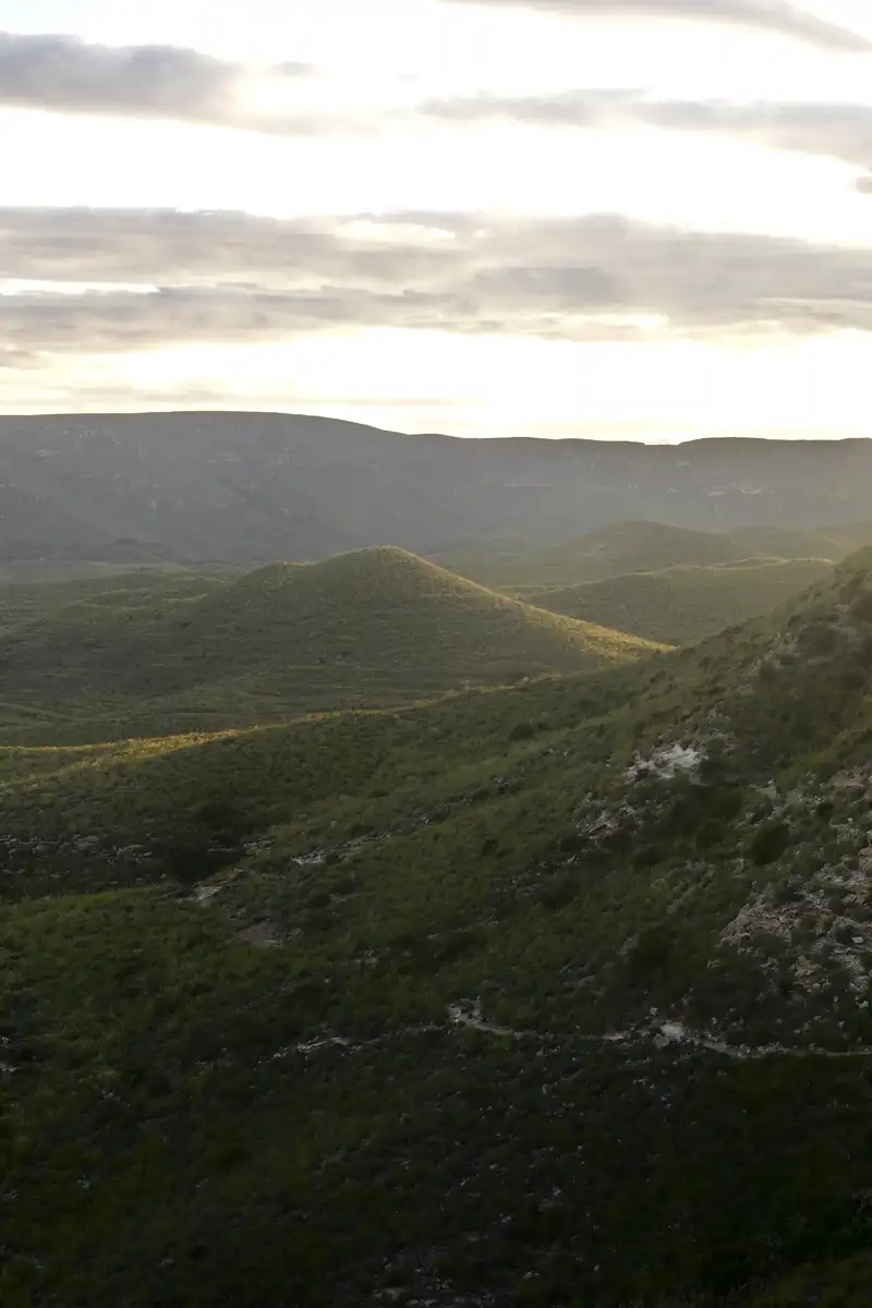 Lomas del Parque Natural vistas desde la senda a la Cala de Enmedio