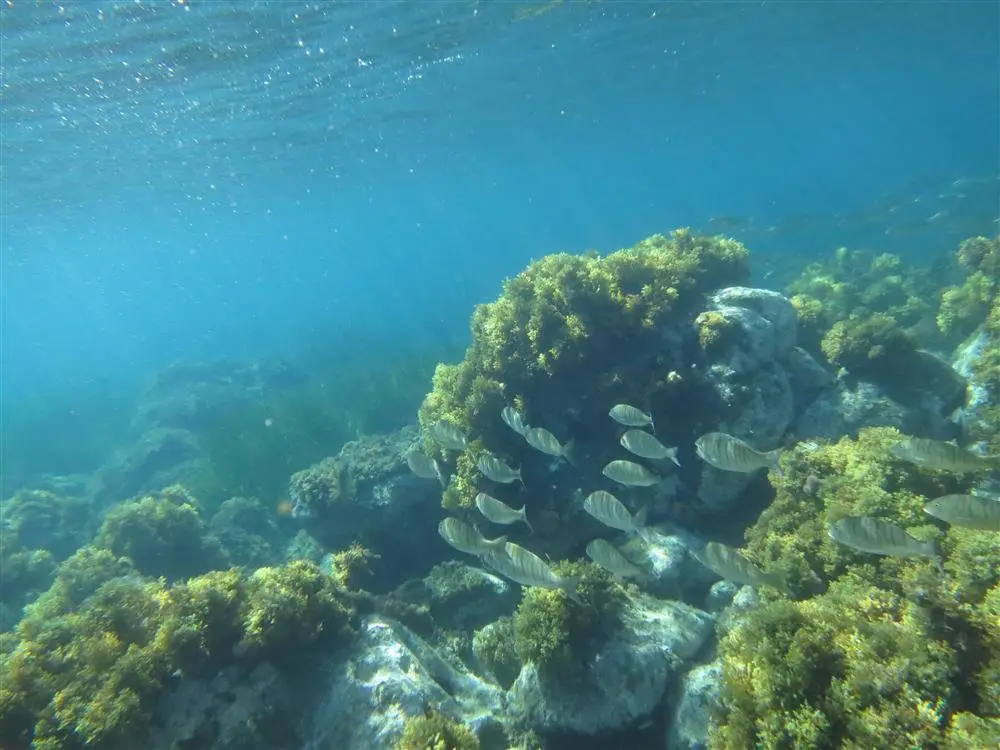 Las Negras Almería, uno de los mejores puntos de snorkel de Cabo de Gata