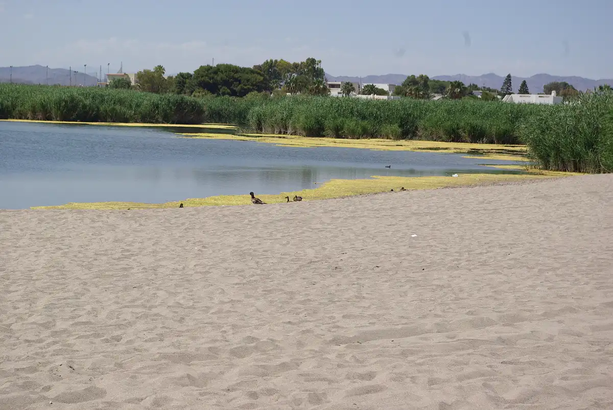 Playa de Vera junto a la urbanización Laguna Beach