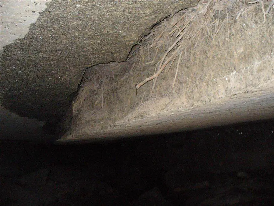 Espeleología en las Cuevas de Sorbas, grupo con casco y frontal en galería de yeso
